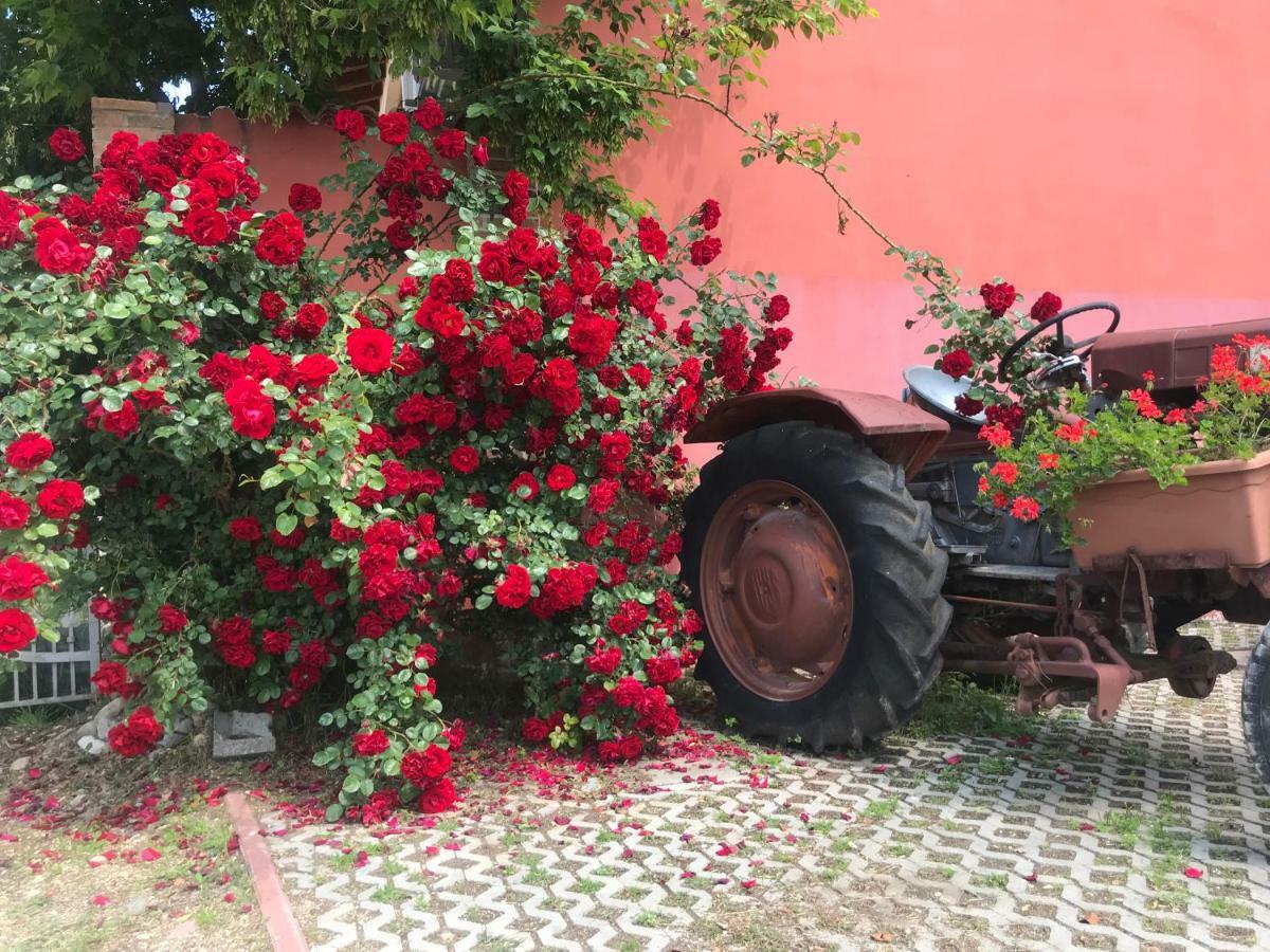 Agriturismo Mulino Bianco Lonato del Garda Exterior foto